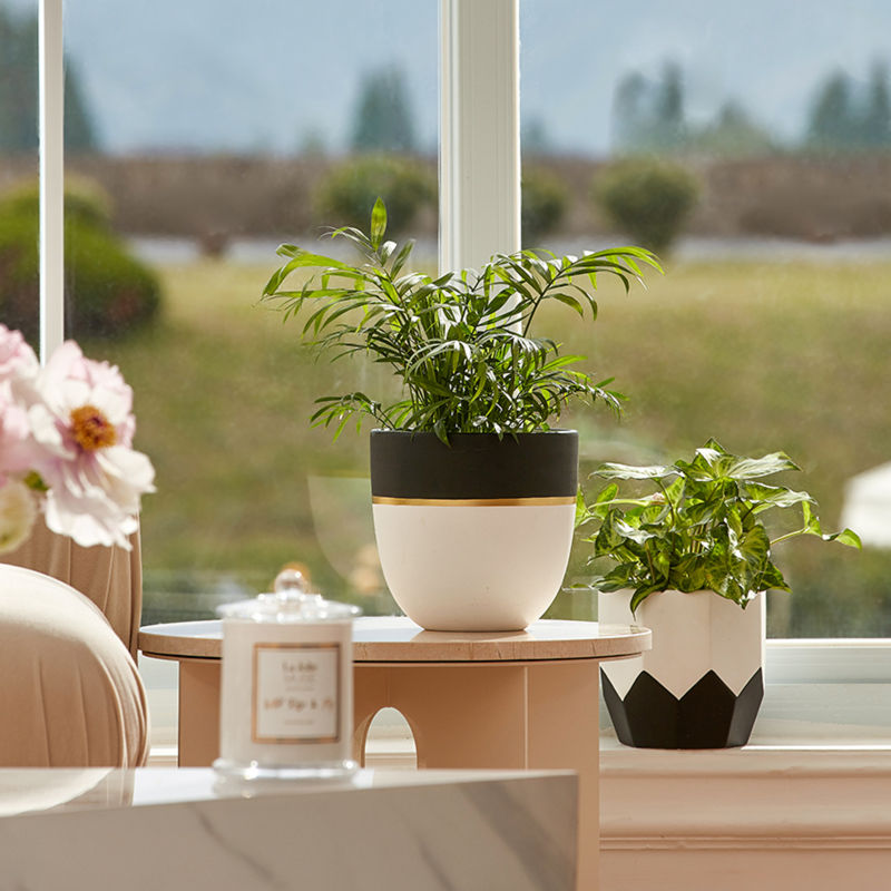 Pots with plants in them are displayed on a wooden tray, in front of a window, and surrounded by candles and flowers.
