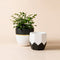 The set of white and black pots with geometric patterns is made of ceramic, each set includes a 6.3-inch and a 5-inch pot.