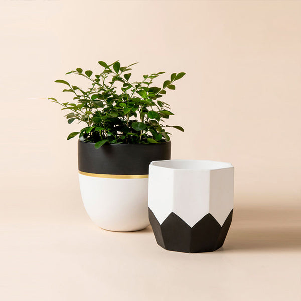 Aliso Black and White Pots - 6.3 + 5 Inch