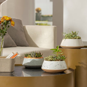 Two boj pots in different colors are displayed on a coffee table in the living room.