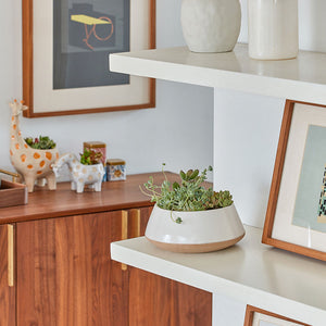 The white and beige planter with succulents in it is placed on a white shelf, next to a picture frame.
