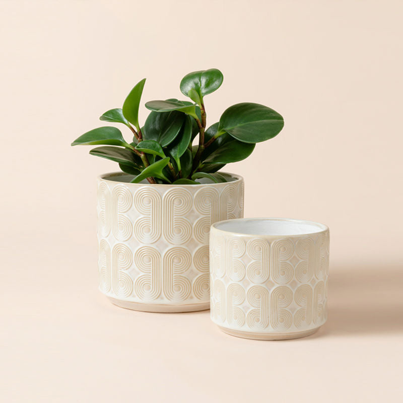 A set of two beige planters with symmetry patterns, one of the 6.6-inch pot holds the plant.