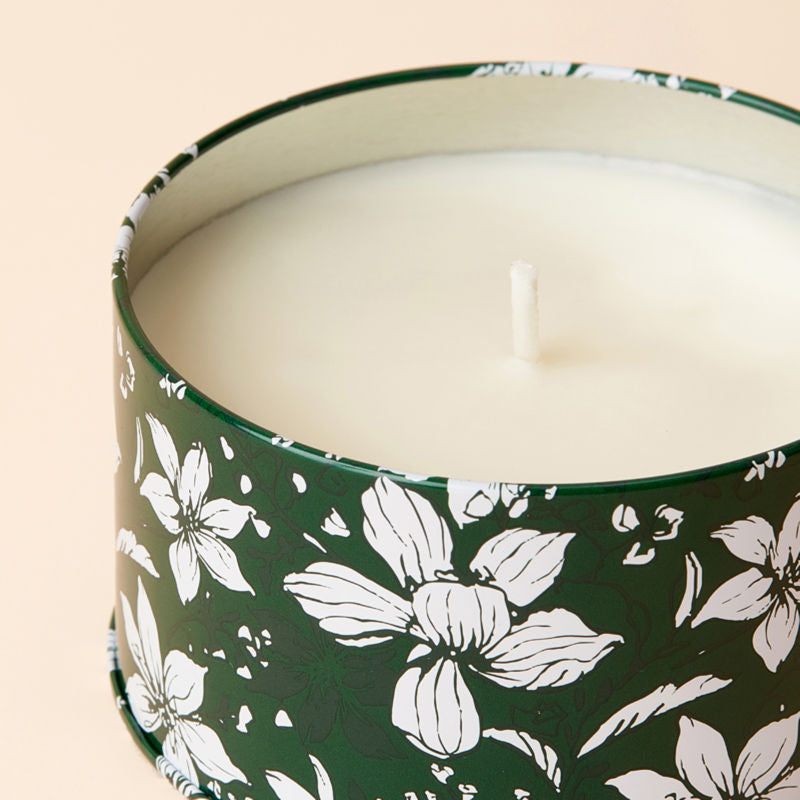 A close up of Cedarwood and Cypress Fragrance candle, showing its cotton wick.