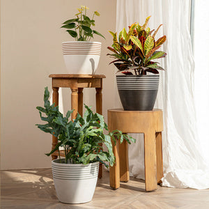 A series of planters with ornate stripes are displayed in a staggered way, including a charcoal planter in 9.4 inches.