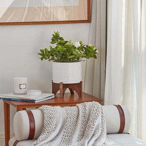 A white ceramic planter is placed on a wooden table with several magazines and a candle jar, behind a white sofa.