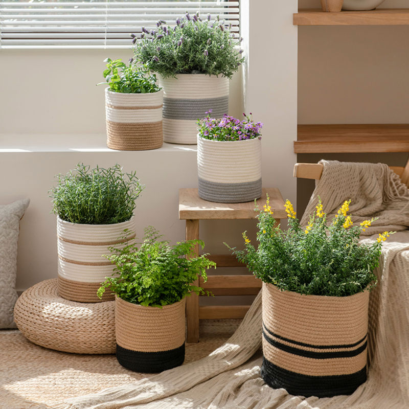 A collection of the cozy planters, all displaying plants in them, including the white and gray color planters.