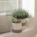 The cozy white and gray pots are placed beside the window and a pillow.