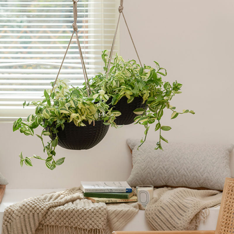 A set of two matte black hanging pots are displayed in a bright living room, both potted with green plants.