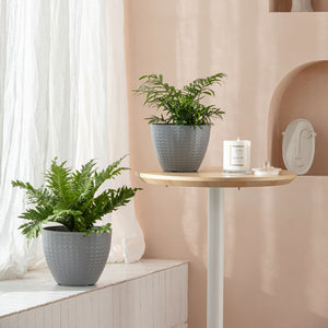 Two dawn gray planters are displayed at the corner of white curtain and pink wall, potted with green plants.