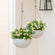 Two matte white hanging pots are displayed in a bright room, both potted with beautiful white flowers.