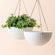 A set of two matte white hanging pots with cube patterns, made from recyclable plastic and natural stone powders.