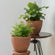Two brown terracotta pots are displayed in a staggered position, both holding lush green plants. 