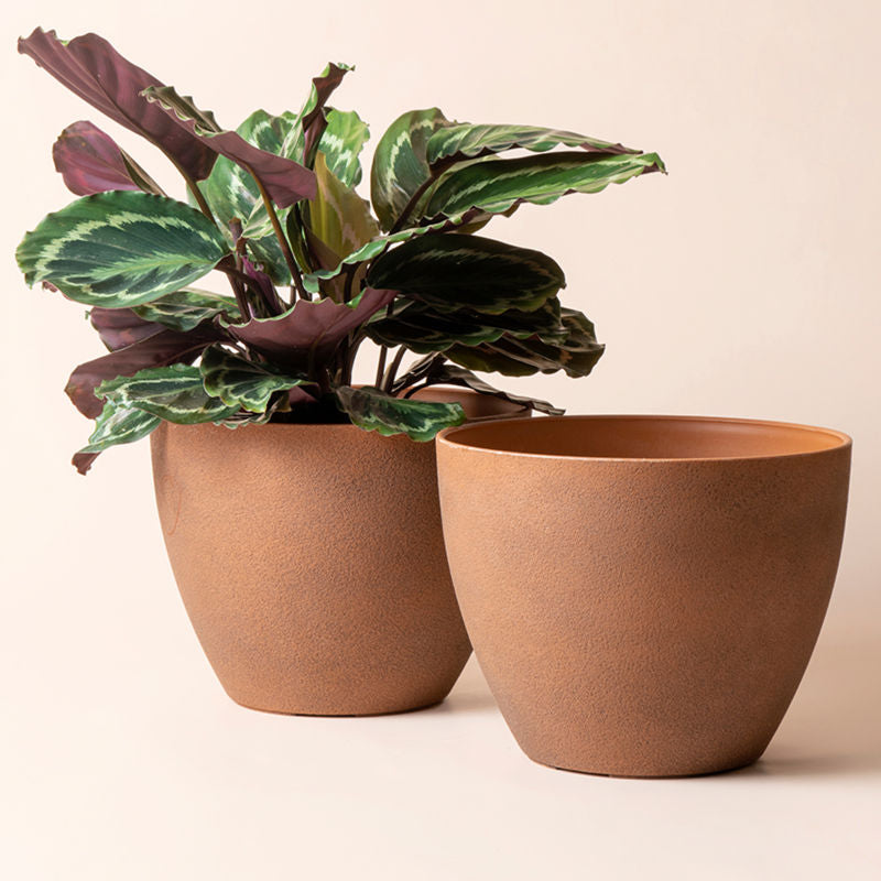 https://lajoliemuse.com/cdn/shop/products/Earthy-Terracotta-Pots-Two.jpg?v=1641800599