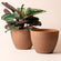A set of two brown terracotta pots in same size, made from recyclable plastic and natural stone powders.