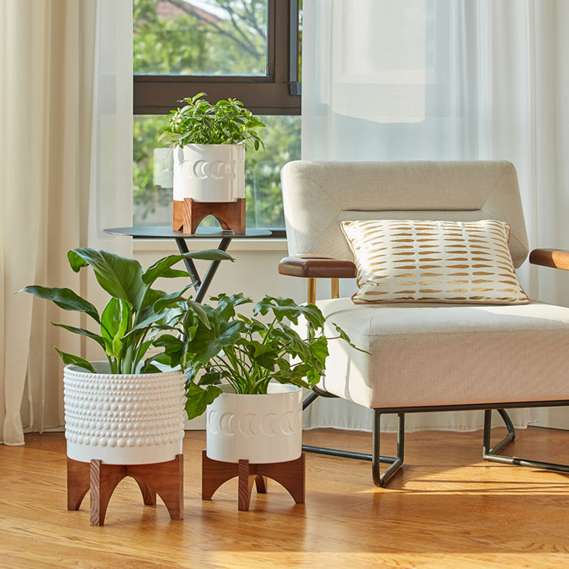 The white planter with a hobnail pattern is placed on the wooden floor, next to a planter with crescent patterns.