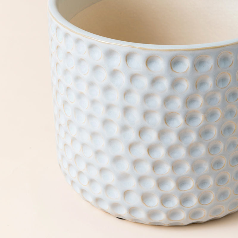 A close-up of the 6.7-inch planter, showing its ceramic feature and concave dots pattern around the exterior.