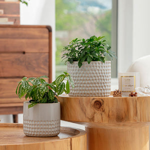 Two glacier gray planters are displayed on separate wooden tables, in front of a cabinet.