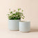 Each set contains a 6.7-inch and a 5.5-inch glacier gray planter, with concave dots pattern design.
