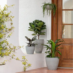 Four different planters are displayed in front of a wooden door. The gray honeycomb pot is the highest one with a small tree plant in it.