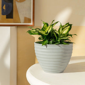 The light gray pot with plants in it is placed on a white table, in front of a picture frame.