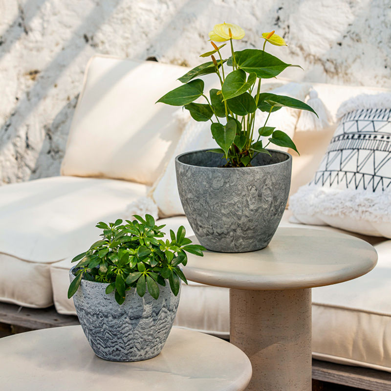 Large plastic planters with potted plants are displayed on wooden tables, in front of a sofa.