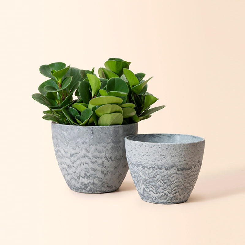 A set of two plastic planters in 8.6-inch and 7.5-inch, with waves pattern and soothing gray tones.