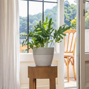 The white planter decorated with grey lines is placed on a wooden chair, in front of a window.