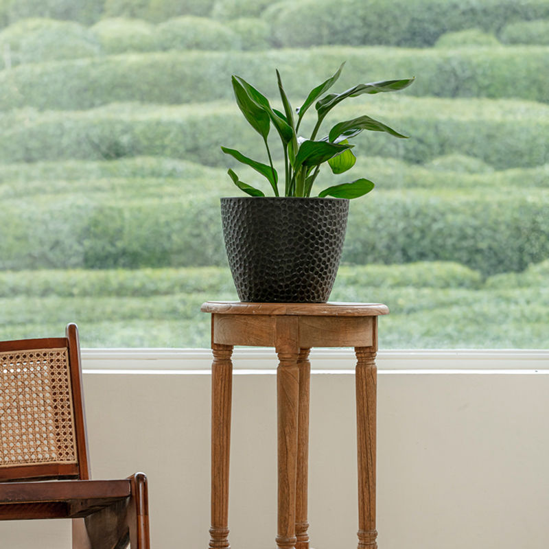 A black plastic planter is placed on a small wooden table against a huge window.