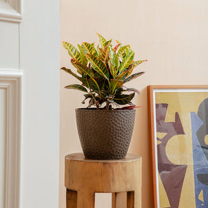 A brown plastic pot are placed on a stump-like base next to a modern art painting.