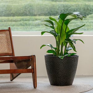 A large black planter is potted with lush green plants, next to a vintage wooden chair.