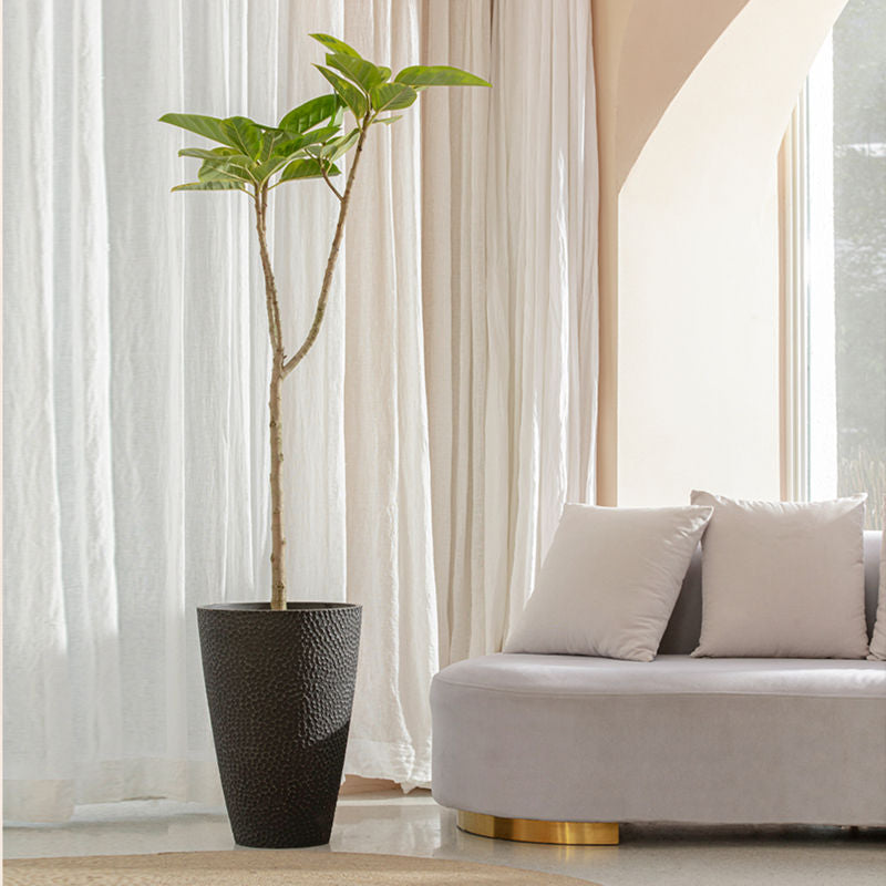 A small tree with a tall trunk is planted in the black pot, placed next to a white sofa.