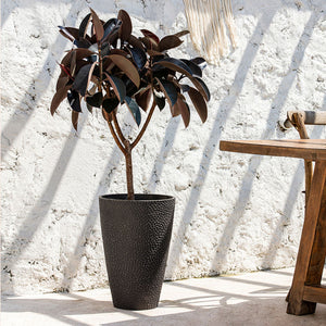 The honeycomb-patterned black pot with a small tree in it is placed next to a coffee table. Shadow of window blinds is in the background.