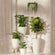 A series of five white planters with honeycomb patterns are displayed against a white marble wall.  