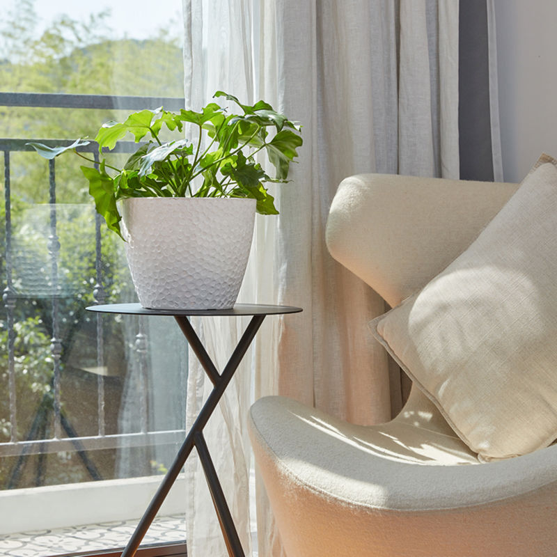 A white pot with green plants are placed on a small black table against window.
