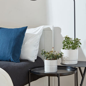 Two bright white pots are placed on black bedside tables, each potted with green plants.