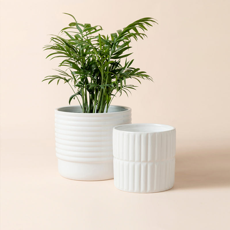 A set of two bright white planters, made of premium ceramic and fully glazed.