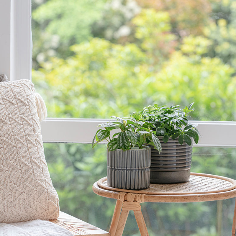 Two gray planters with plants in them are displayed on a wooden coffee table, in front of a window.