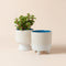 A set of two ivory and galaxy blue planter pots in same size, made of premium ceramic.