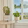 A pair of ivory white planters are displayed against a window, both potted with green plants.