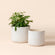 A set of two ivory white pots with different design, made of premium ceramic and fully glazed.
