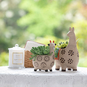Two small succulents planters are placed on a white table, in front of a jar of candles and a small basket.