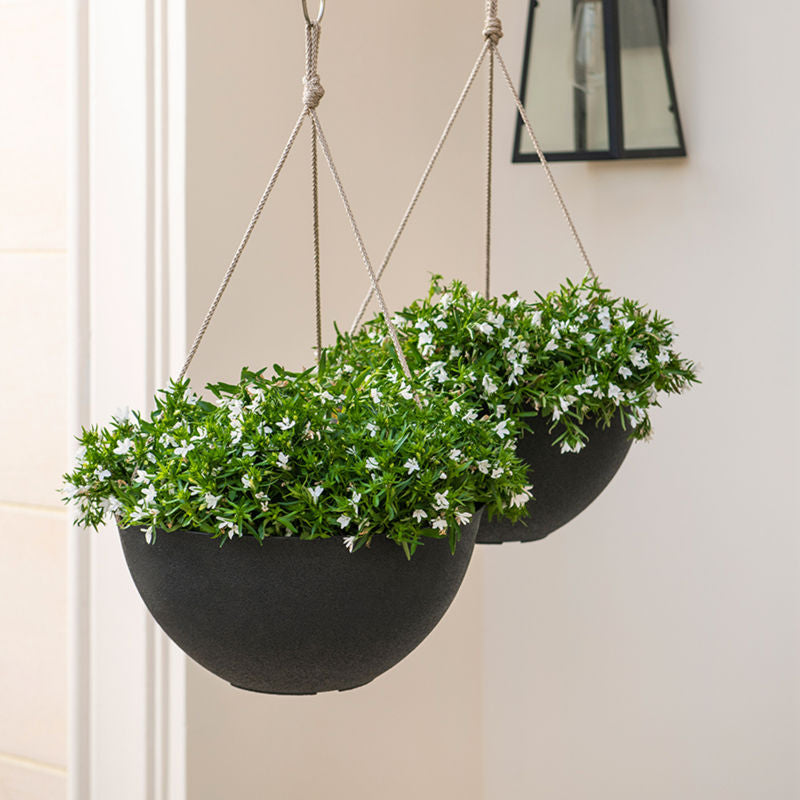 A set of two 13.2-inch black hanging pots are displayed in a bright room, both potted with small white flowers.