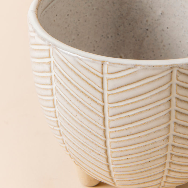 A close-up of the beige pots, showing its premium ceramic material and leaf vein patterns.
