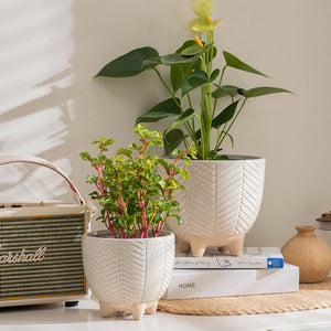 Flowers are potted in the beige planter. Pots are displayed on a white marble table and next to a sound box.