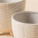 A close-up of the leaf vein beige pots set. Compare the different heights between 5.7-inch and 4.6-inch pots.