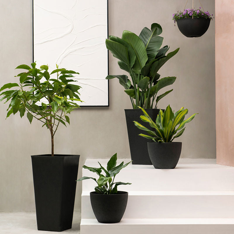 Planters in different sizes are placed in front of a picture frame. The 26-inch pot is placed next to a white step on the left.