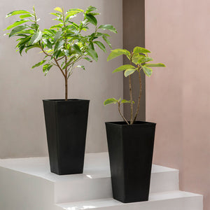Two black planters with small trees in them are placed on white steps, in front of a grey wall.