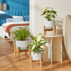 Three planters are placed in front of the bed, including the Lorca white and blue pot in the middle.