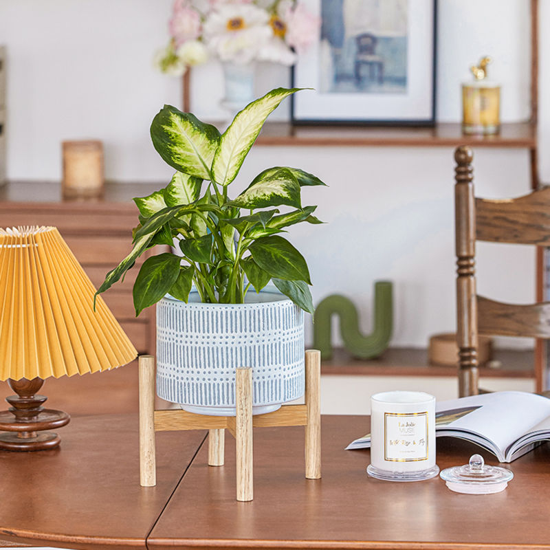 A Lorca white and blue pot is displayed on the table surrounded by furniture and house decorations, holding a green plant.