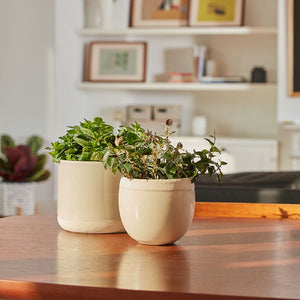 A set of two planters in different shapes are placed on a wooden table, with green plants.